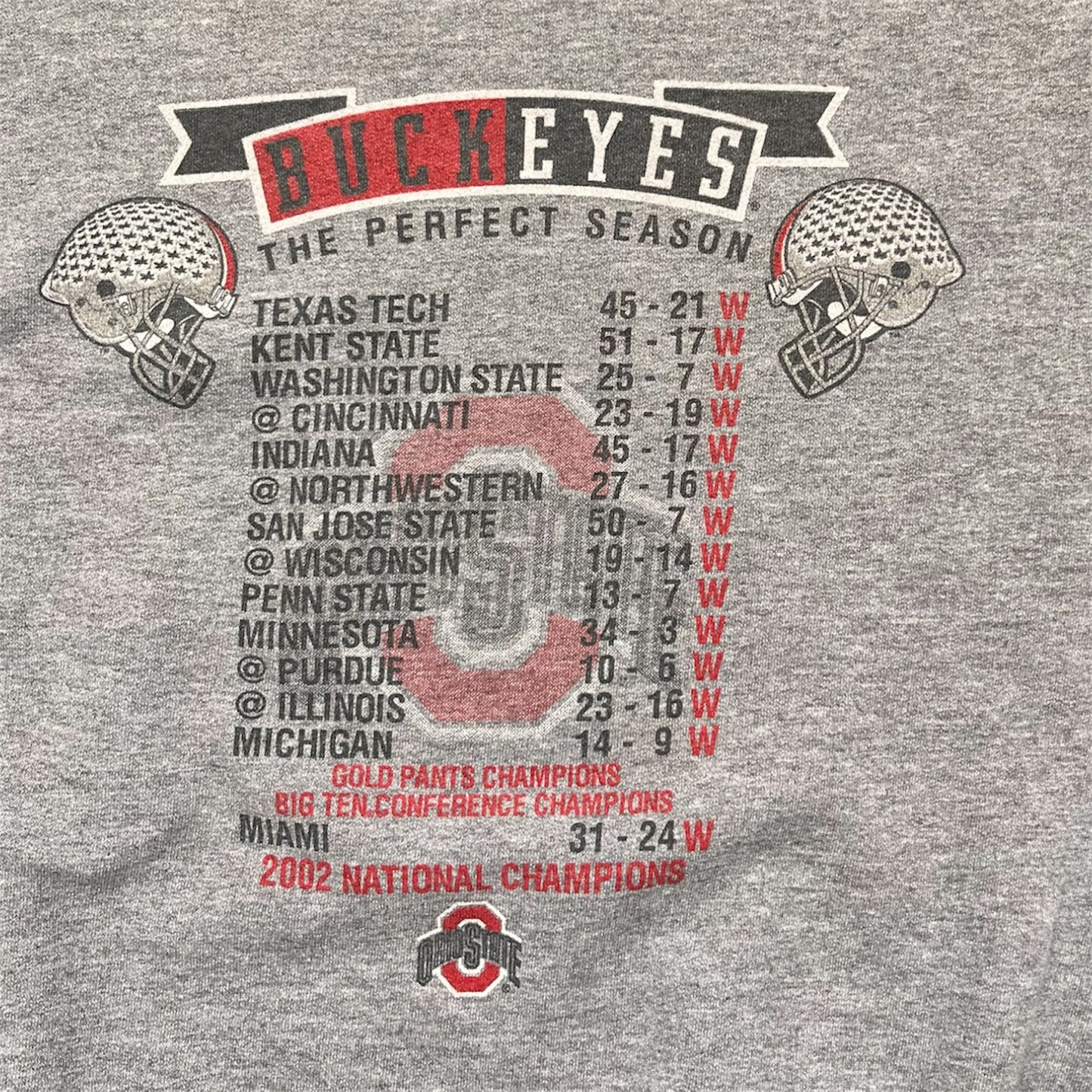 Ohio State Buckeyes 2000’s Perfect Season Sweatshirt in Grey